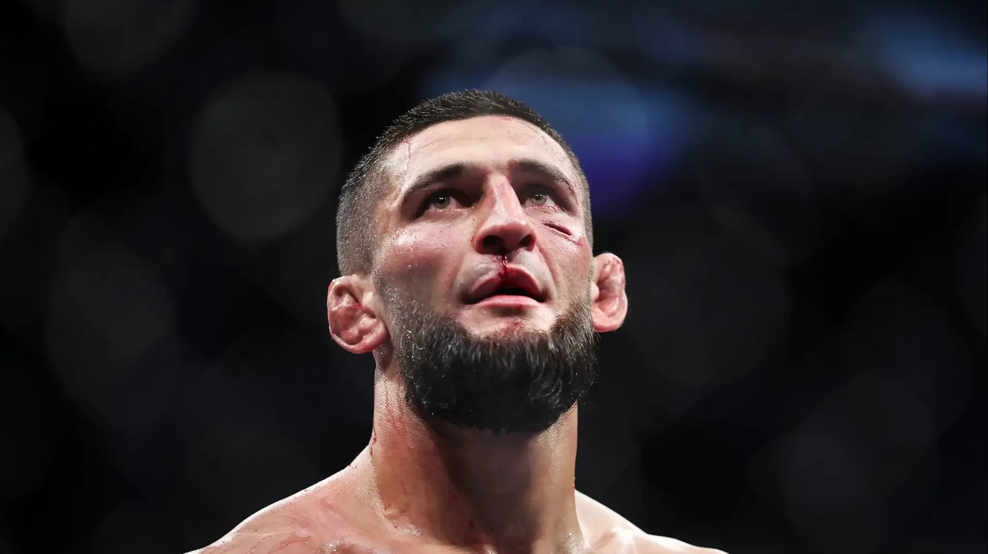חמזאט צ'ימאייב לוחם UFC