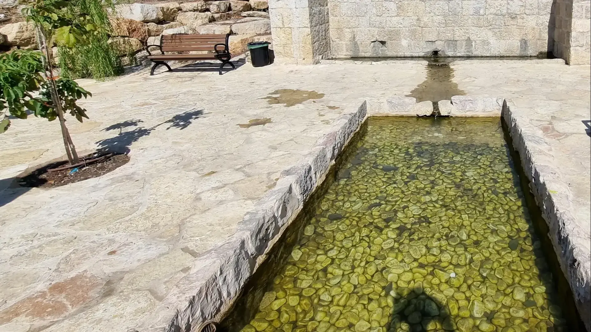 מעיין עין אלקסב במג'דל שמס