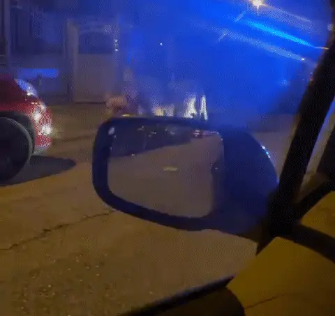 אריה שנמלט מקרקס חליד רומא מתהלך ברחוב