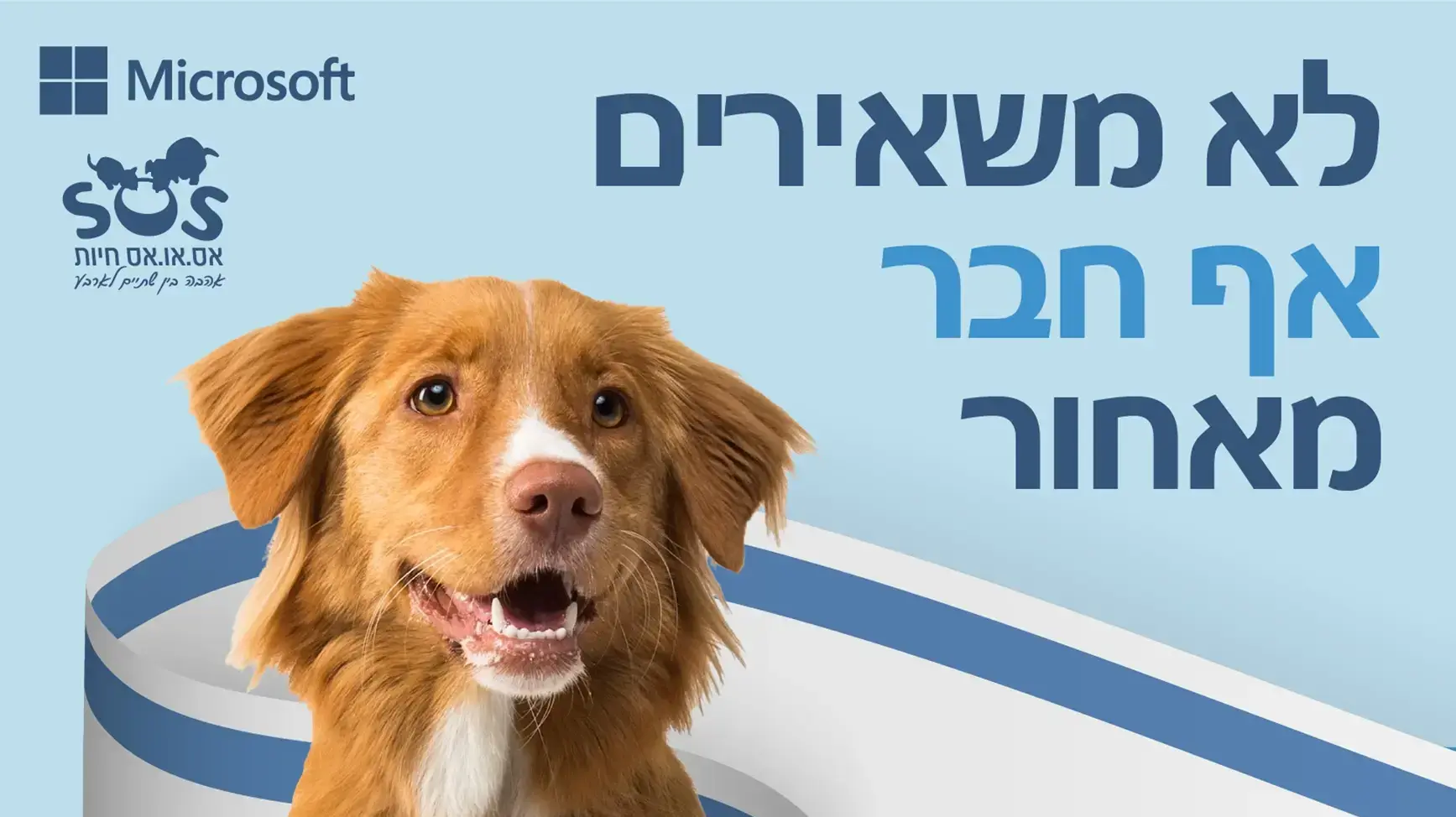 אימוץ כלבים מהעוטף - אירוע אימוץ שתקיים חברת מיקרוסופט