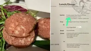 התפריט בחברת צ'יינה איסט איירליינס מציע "מזון כלבים מיובא"