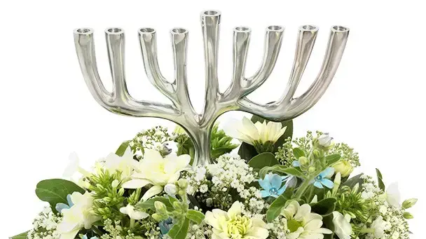 חנוכיית אורים 229 שקל