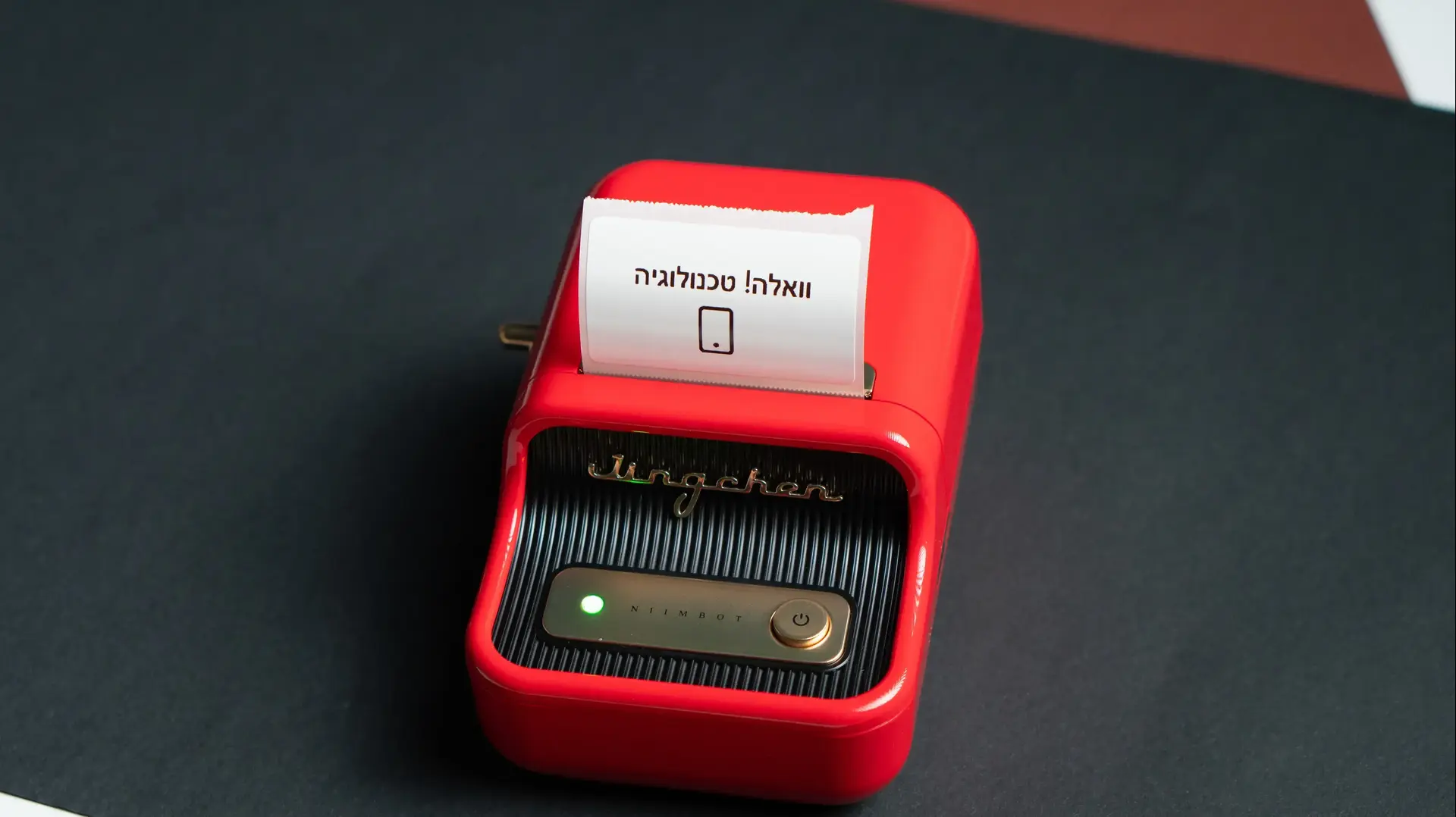 Niimbot B21