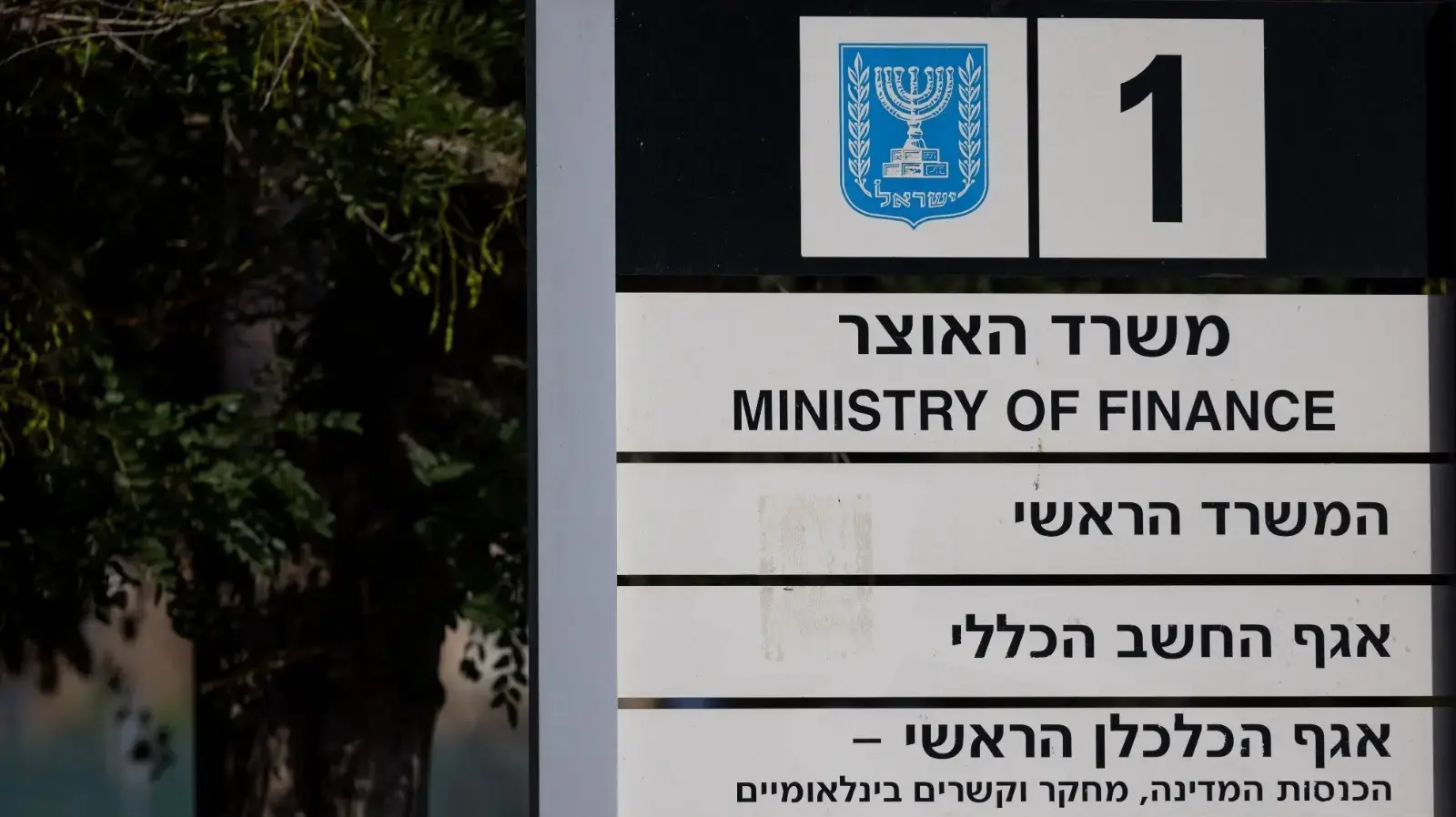 משרד האוצר, אגף החשב הכללי, אגף הכלכלן הראשי