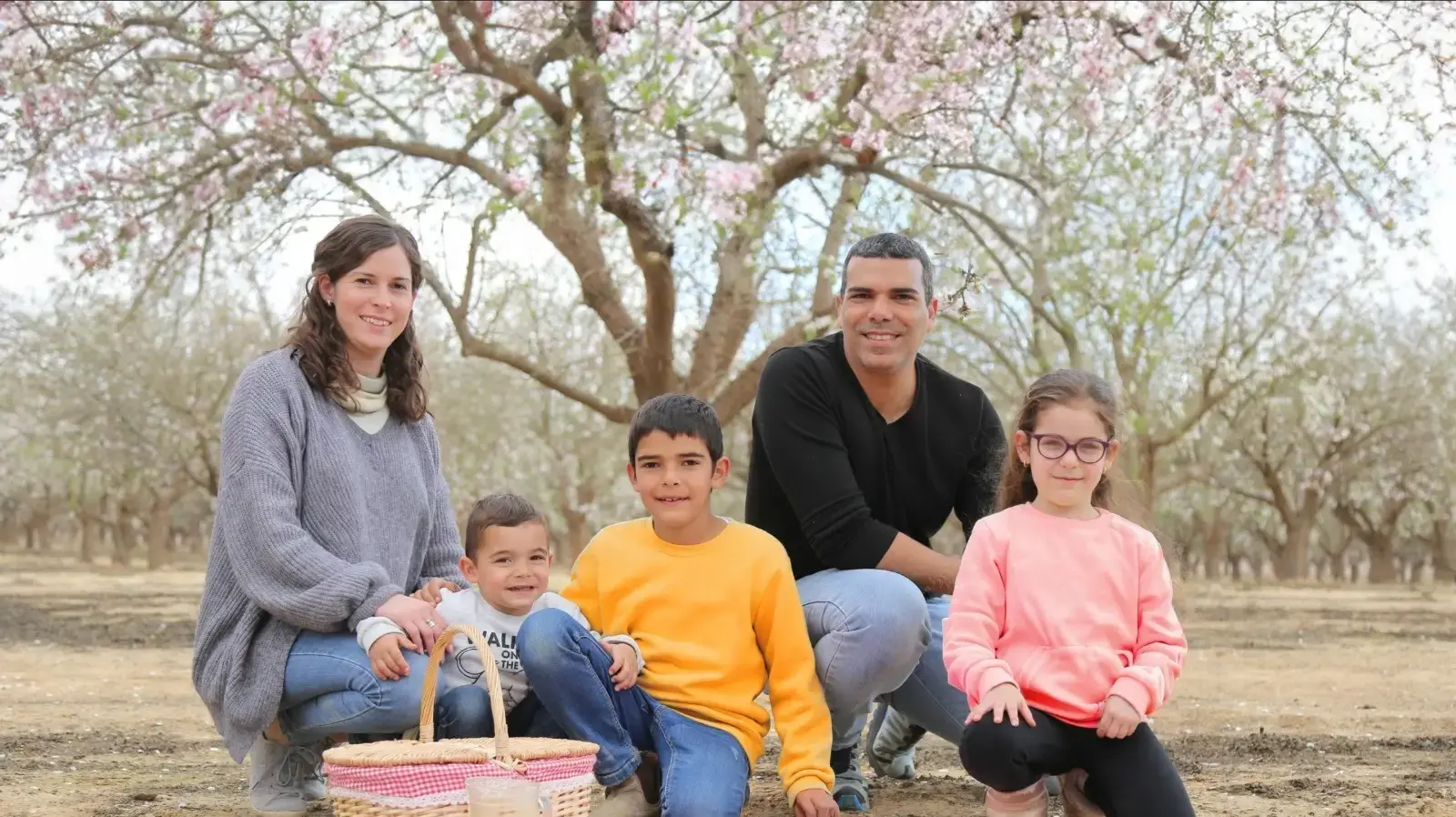 פיקניק פריחת השקדיות בחבל יתיר