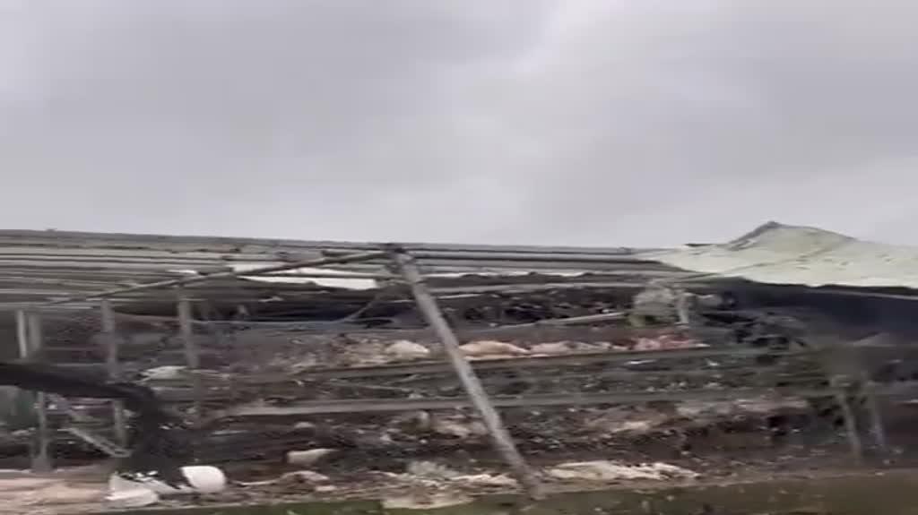 לול עם אלפי תרנגולות ניזוק בפגיעה במושב מרגליות