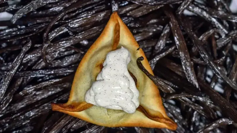 אוזני המן וניל אינסופי של קרן קדוש