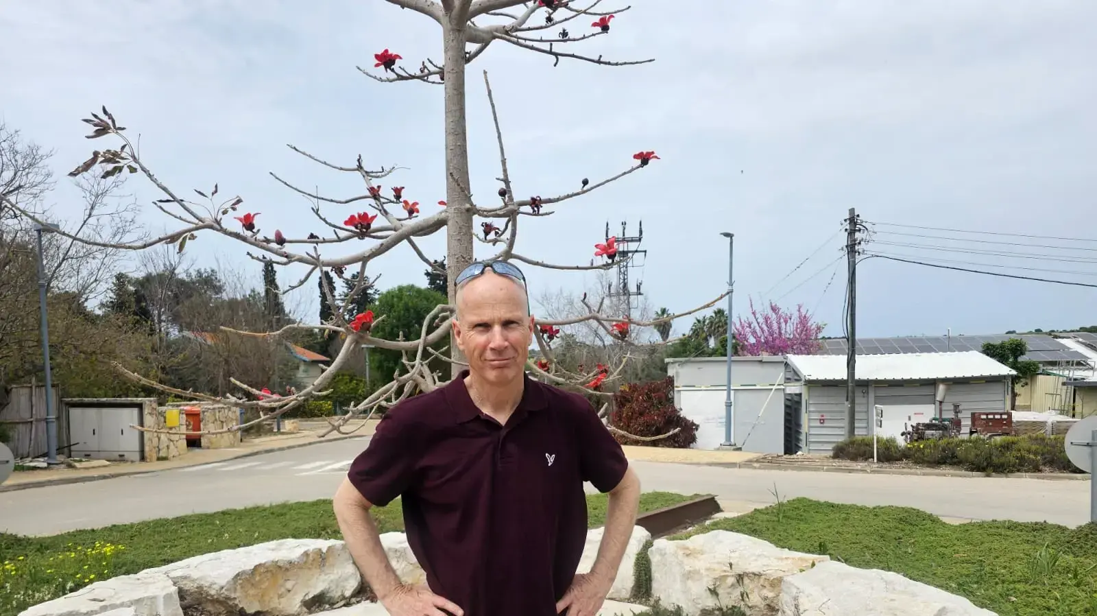 ד"ר אדיב גל ד"ר אדיב גל