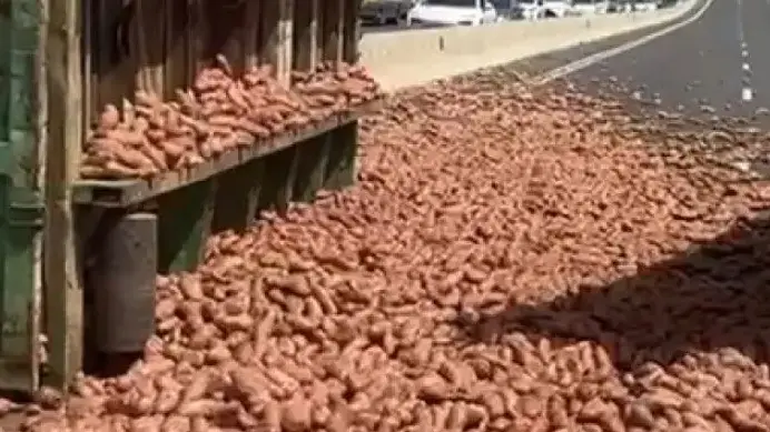 משאית שהובילה תפוחי אדמה התהפכה בכביש