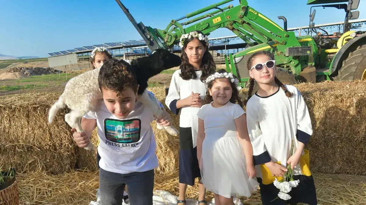 חגיגות שבועות חגיגות שבועות