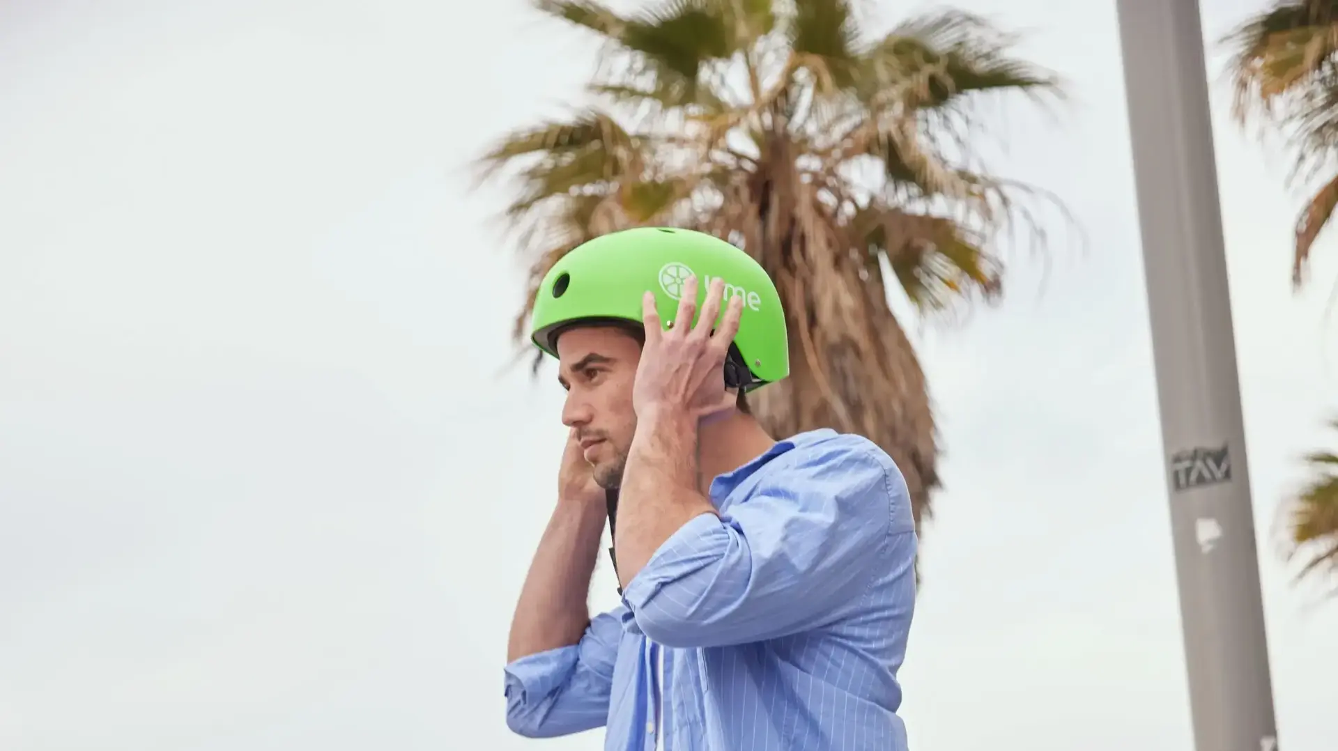 ליים תמונת אווירה