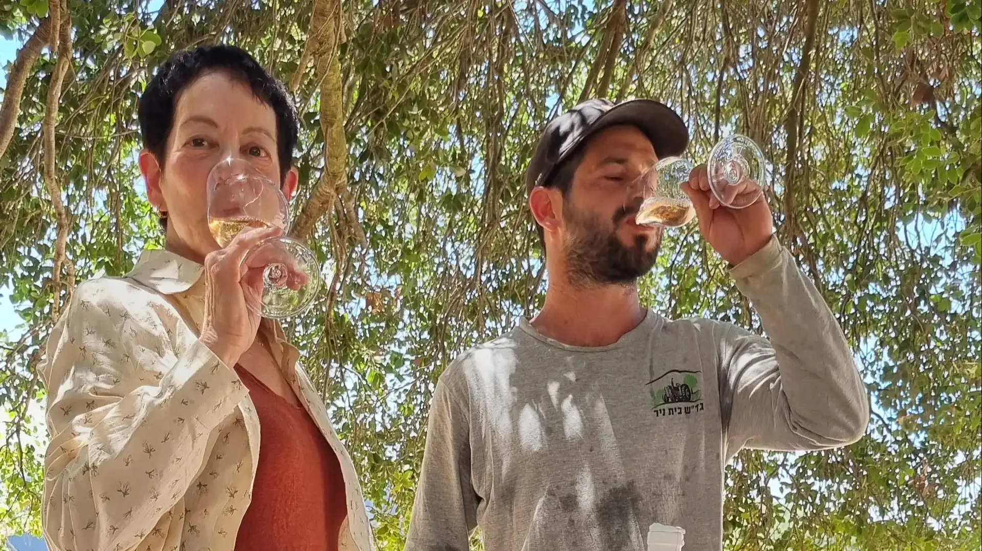 יקב צפרירים