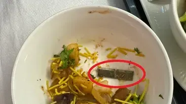 להב סכין בארוחה במטוס אייר אינדיה