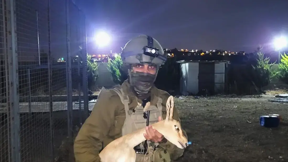 6 צבאים חולצו מבית בחבל בנימין