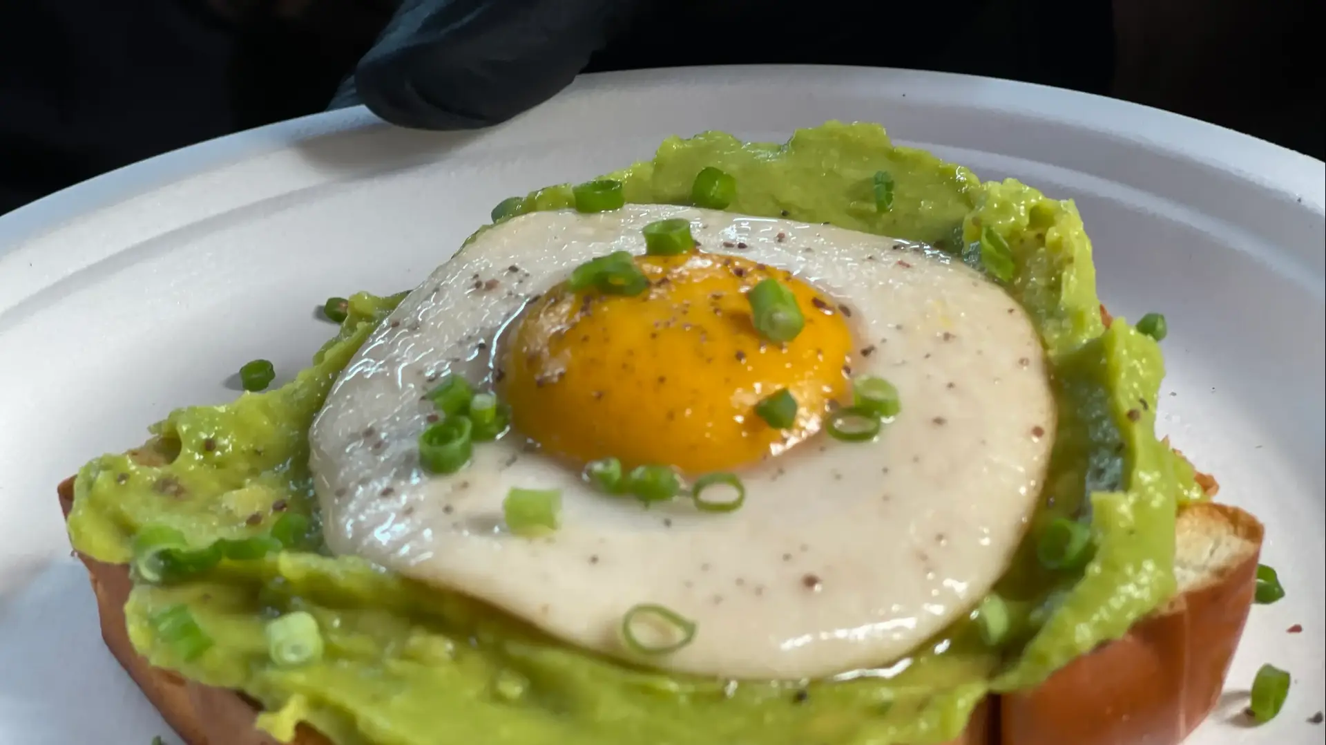 Yo Egg - הביצה הטבעונית
