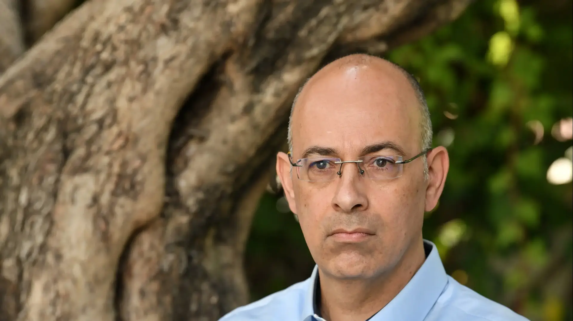 פרופסור ירון זליכה