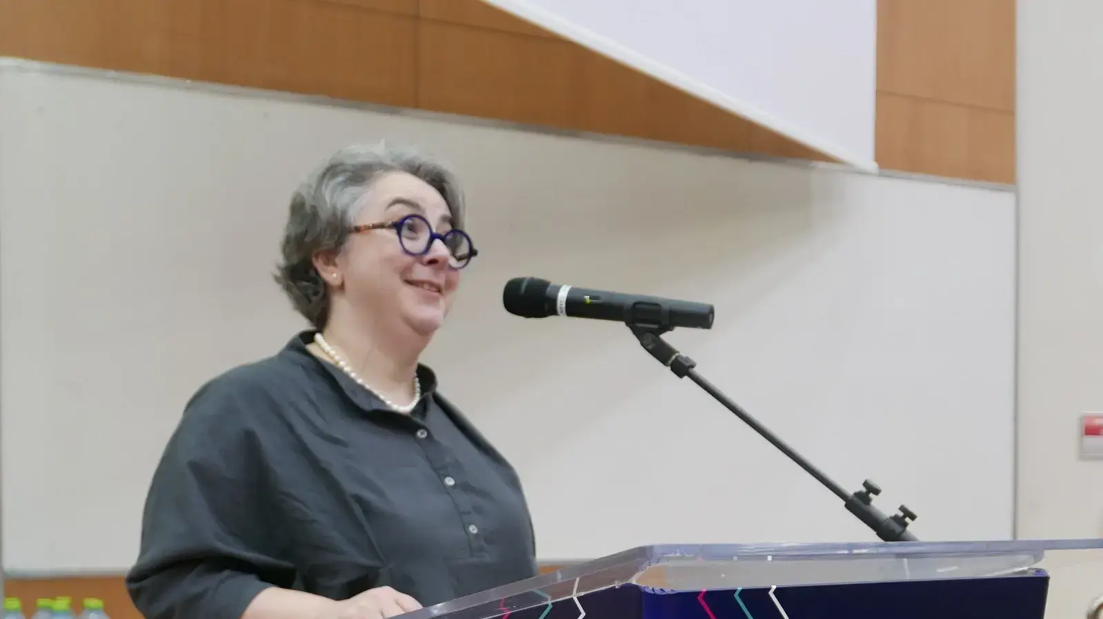 נינו ביניאשוילי, ראשת המחלקה לתקשורת חזותית