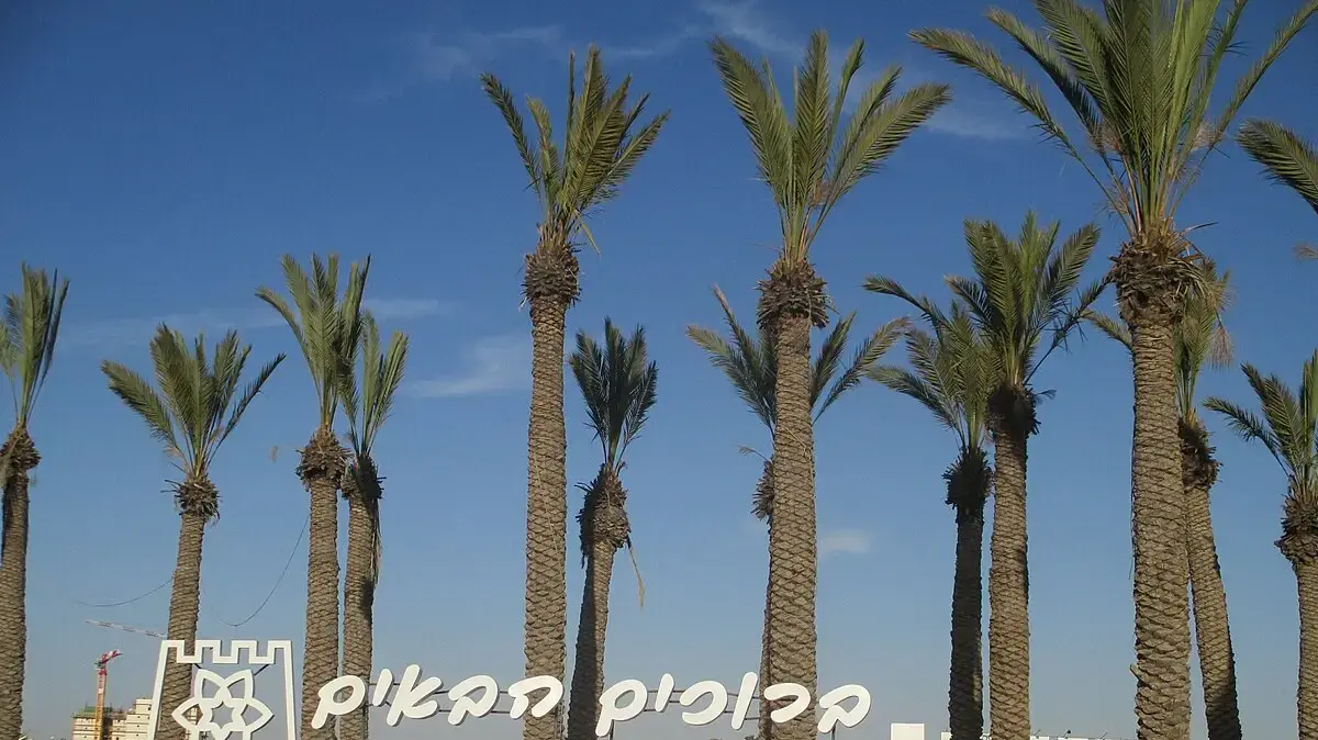 הכניסה לדימונה