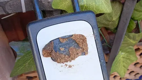 בסיבליה מרחו צואה על נכסים כדי להרחיק תיירים
