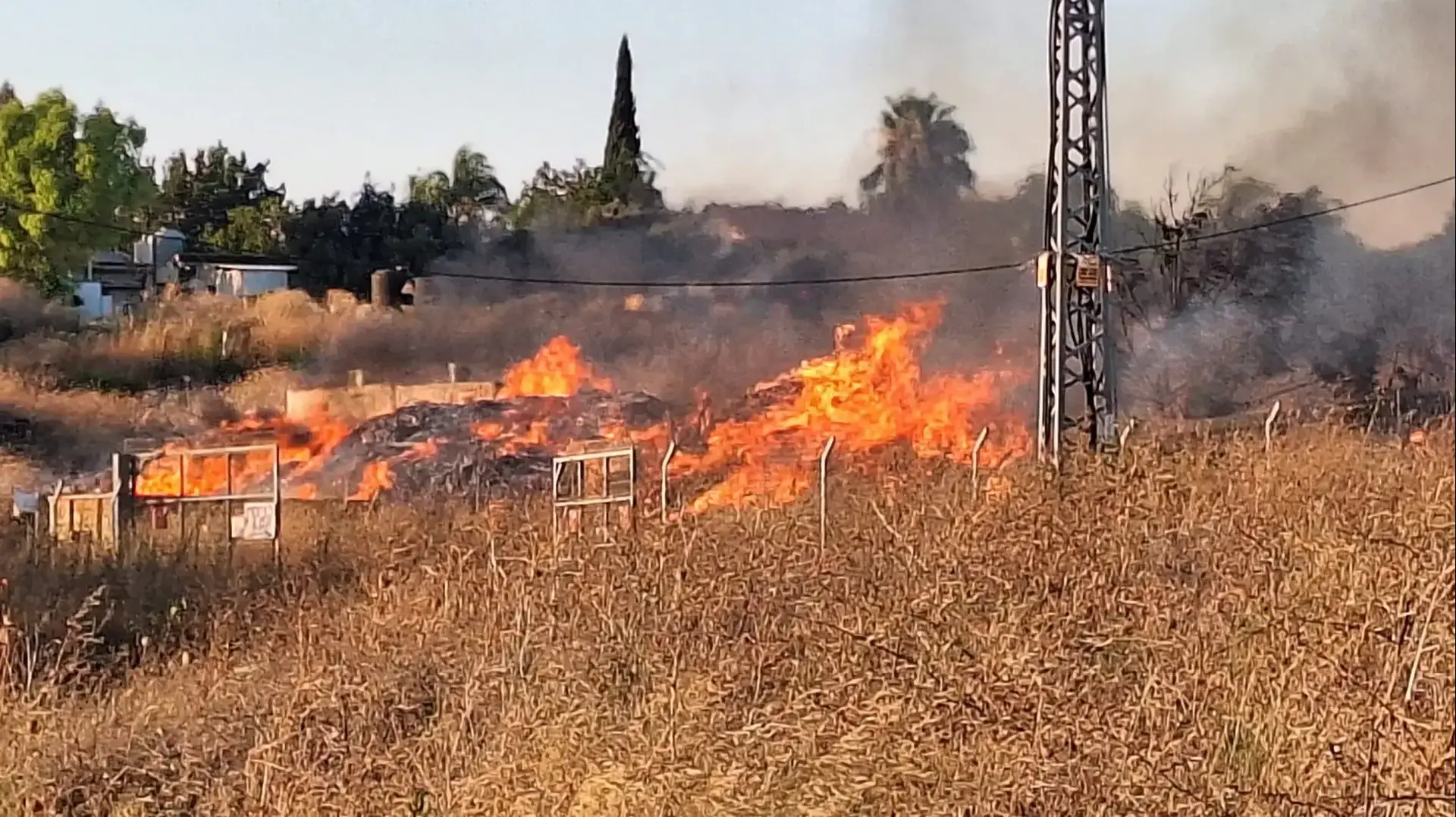 נפילות באזור חוות הפורלים של קיבוץ דן