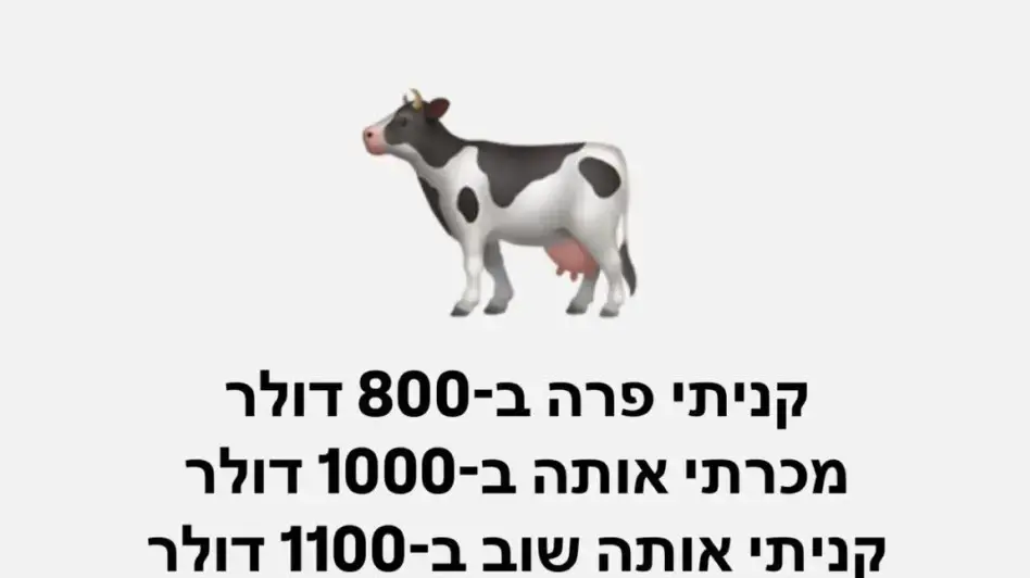 חידת הפרה