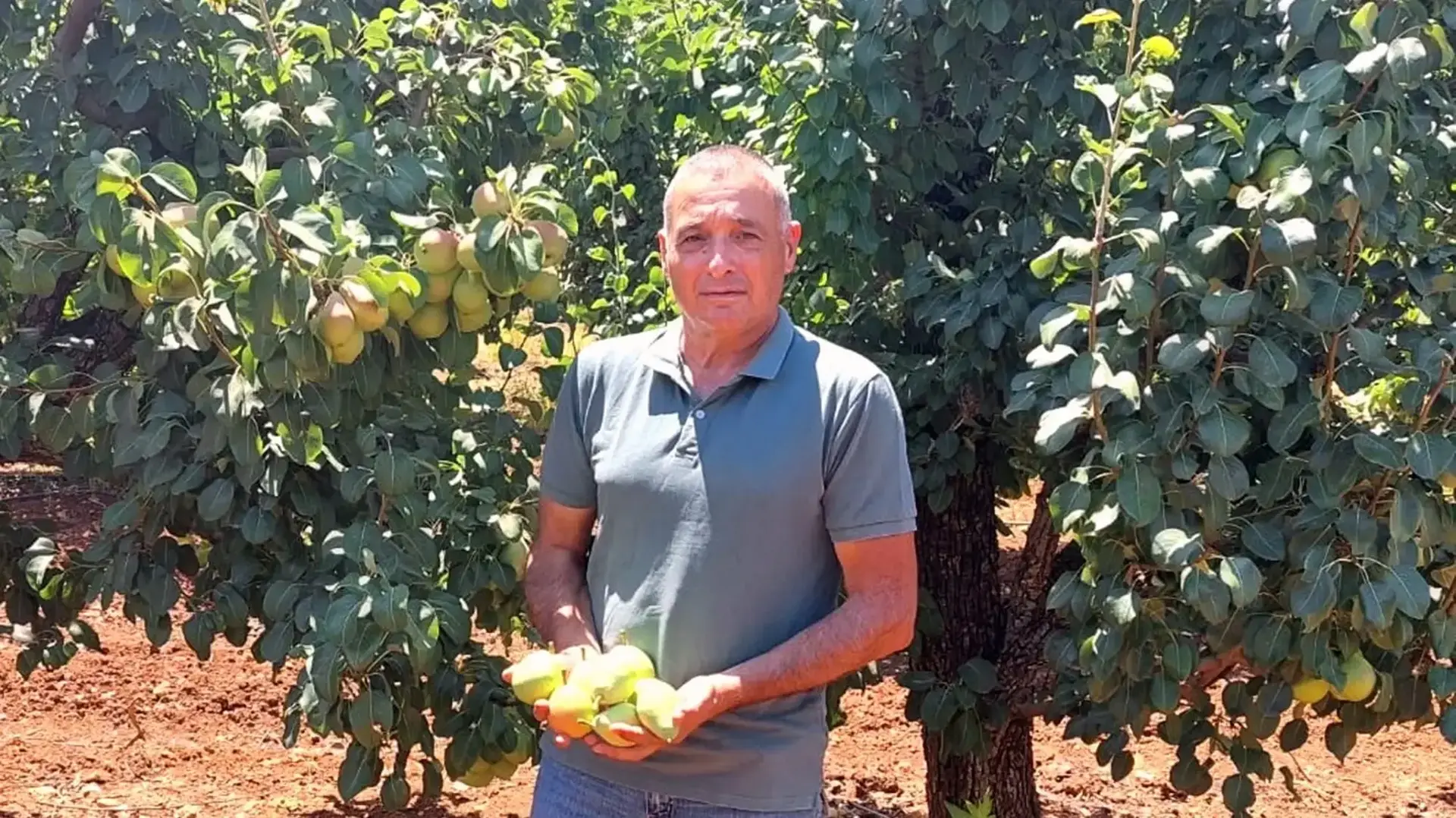 ירון בלחסן מנכ"ל איגוד מגדלי הפירות בישראל