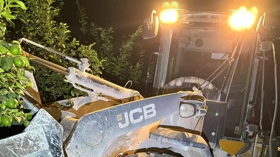 נעצר חשוד בגניבת שופל מקיבוץ ניר עוז
