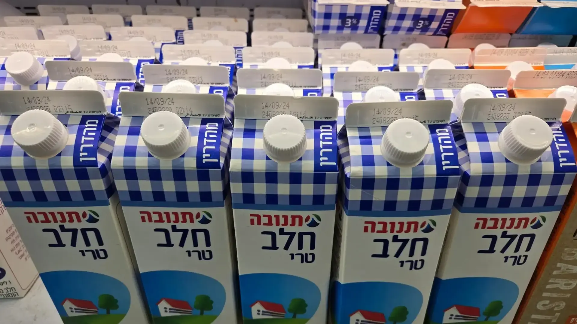 קרטון חלב