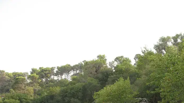 מבחן דרכים יונדאי i30
