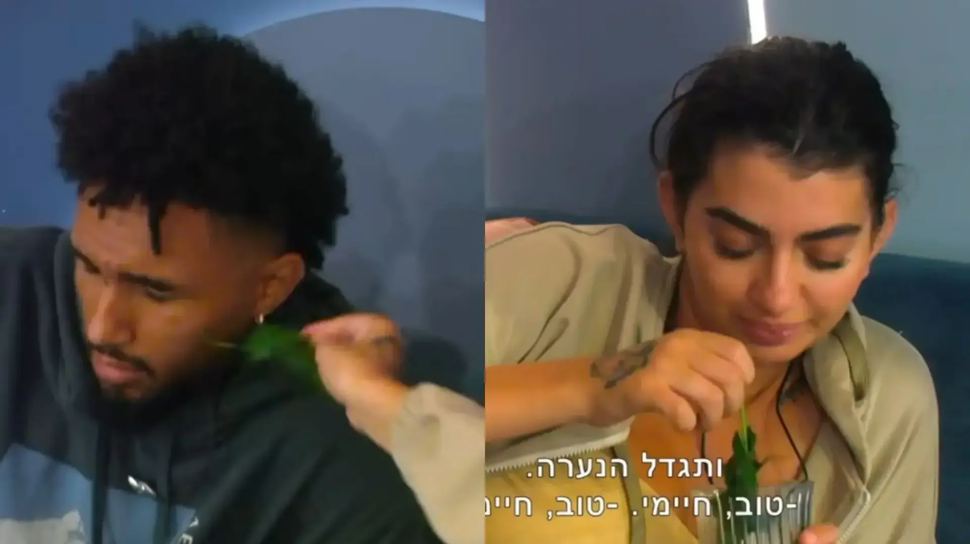 פרידה ודיג'יי בתוך בית האח הגדול, 2024