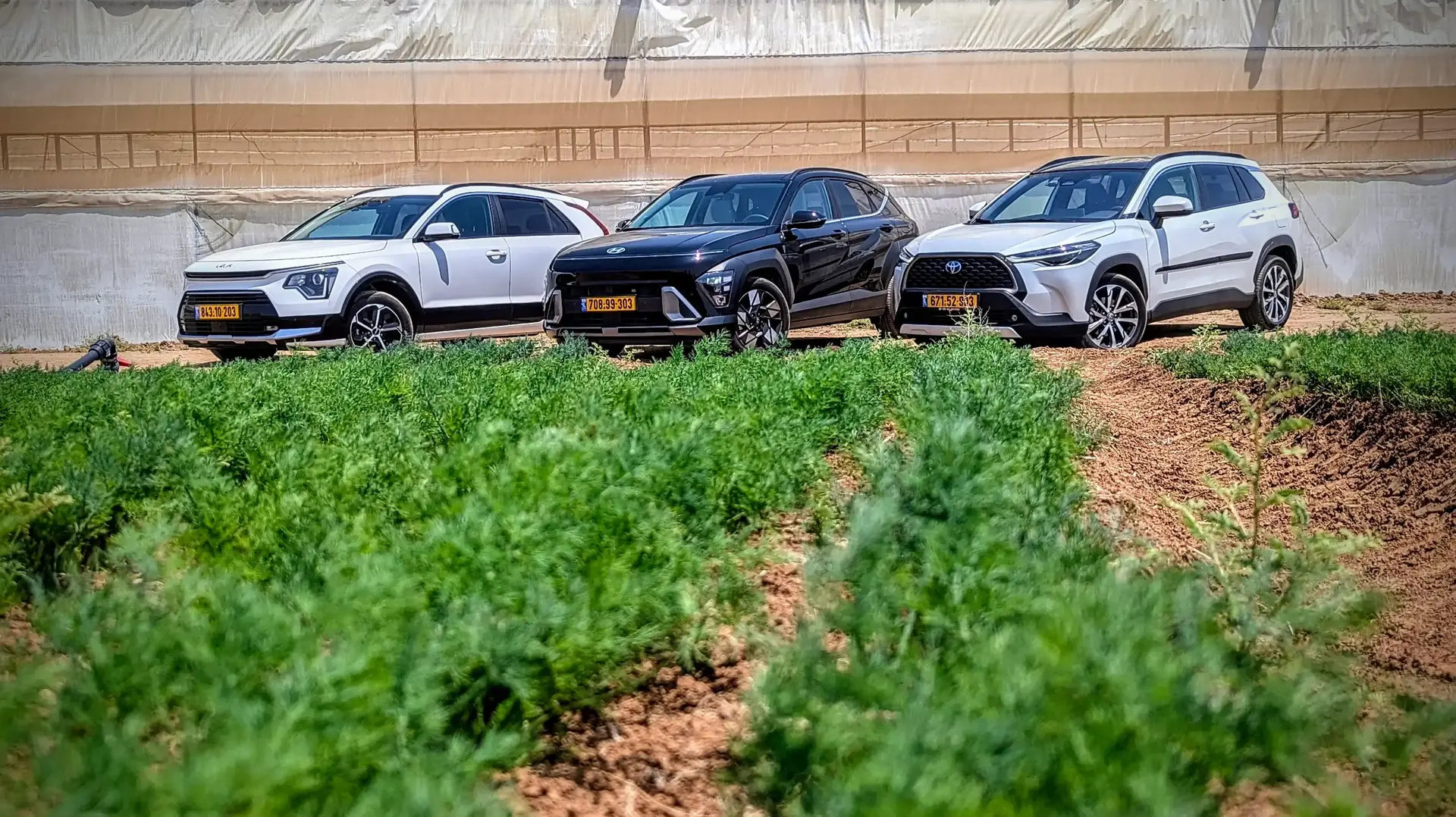 השוואתי קרוסאוברים היברידיים קיה נירו יונדאי קונה טויוטה קורולה קרוס