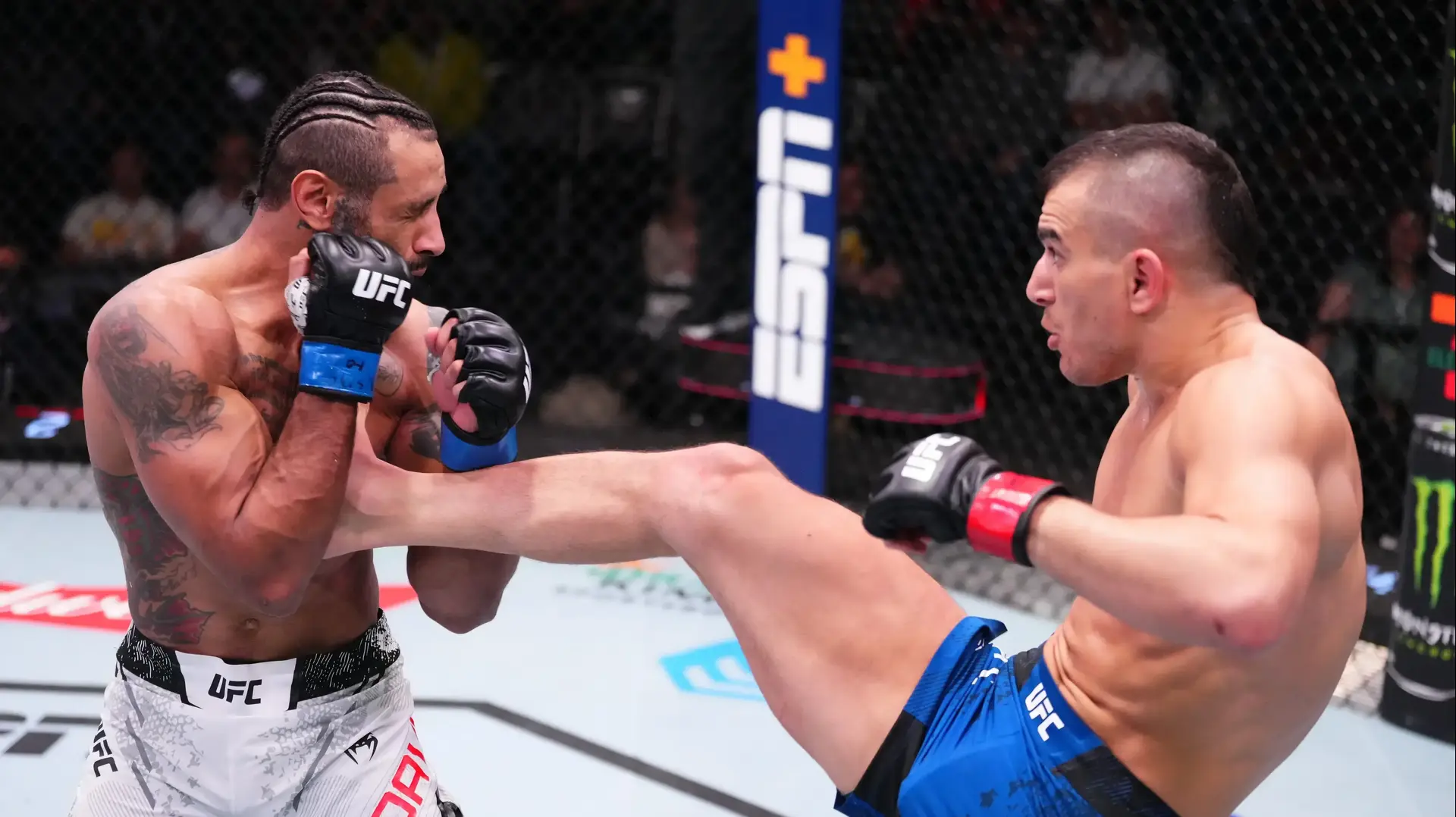 נתן לוי, לוחם UFC ישראלי