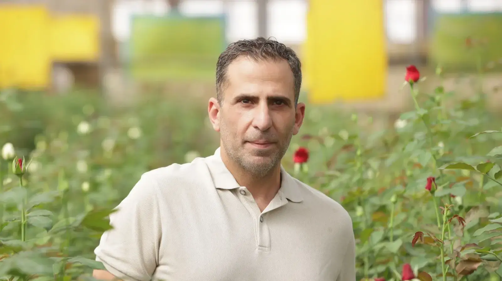 רואי אליהו.