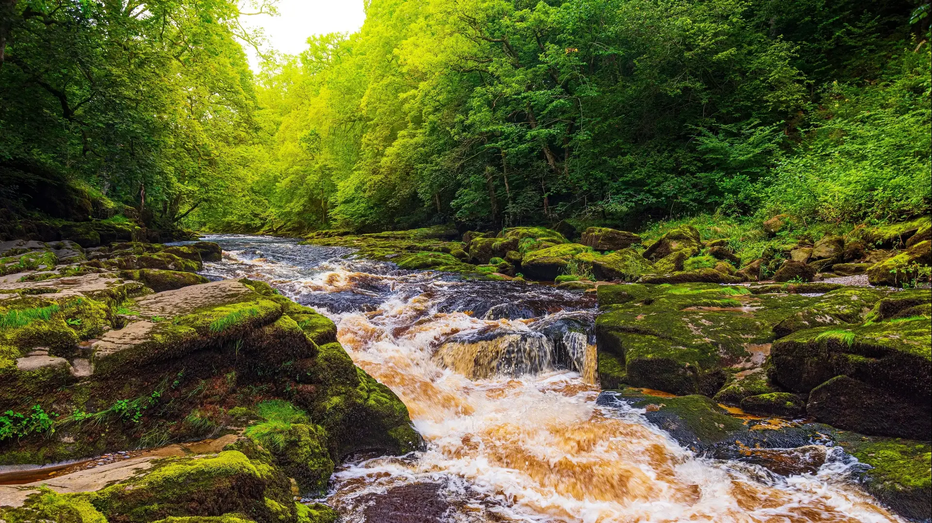 Bolton Strid, החלק הכי מסוכן של נהר ה- Wharf בחבל יורקשייר