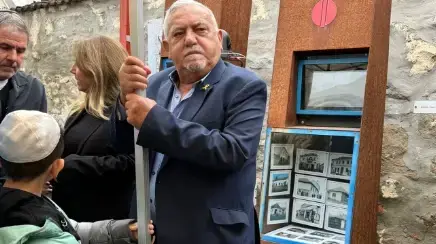 שלמה שרף