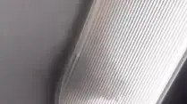 נוסעים תיעדו חולדה בתקרת המטוס