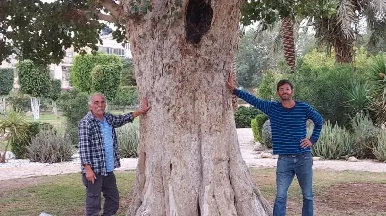 זאב ז'אבו ארליך (משמאל) ומנור דביר