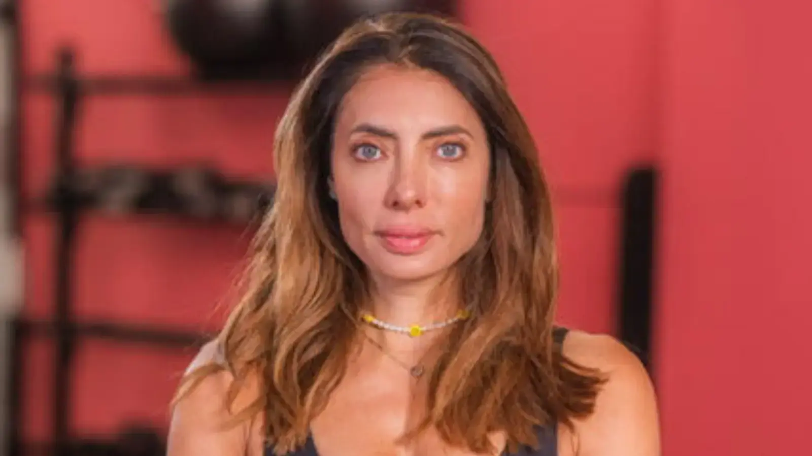 אירה דולפין