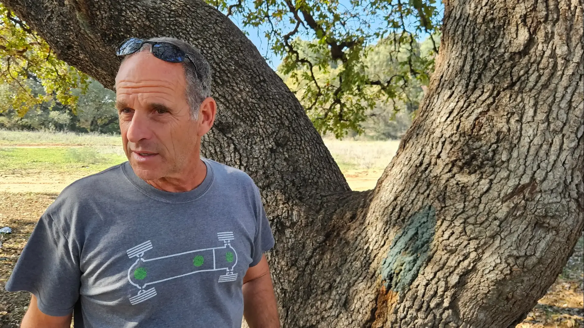 עופר בינדל "משיב האלונים" ביער פארק השרון