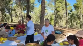 מנקים את יער המלאכים