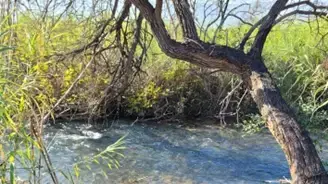 שמורת הבניאס שרופה בעקבות ירי מלבנון 2024