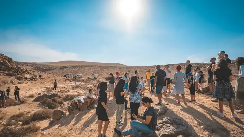 פסטיבל הנרקיסים בדימונה