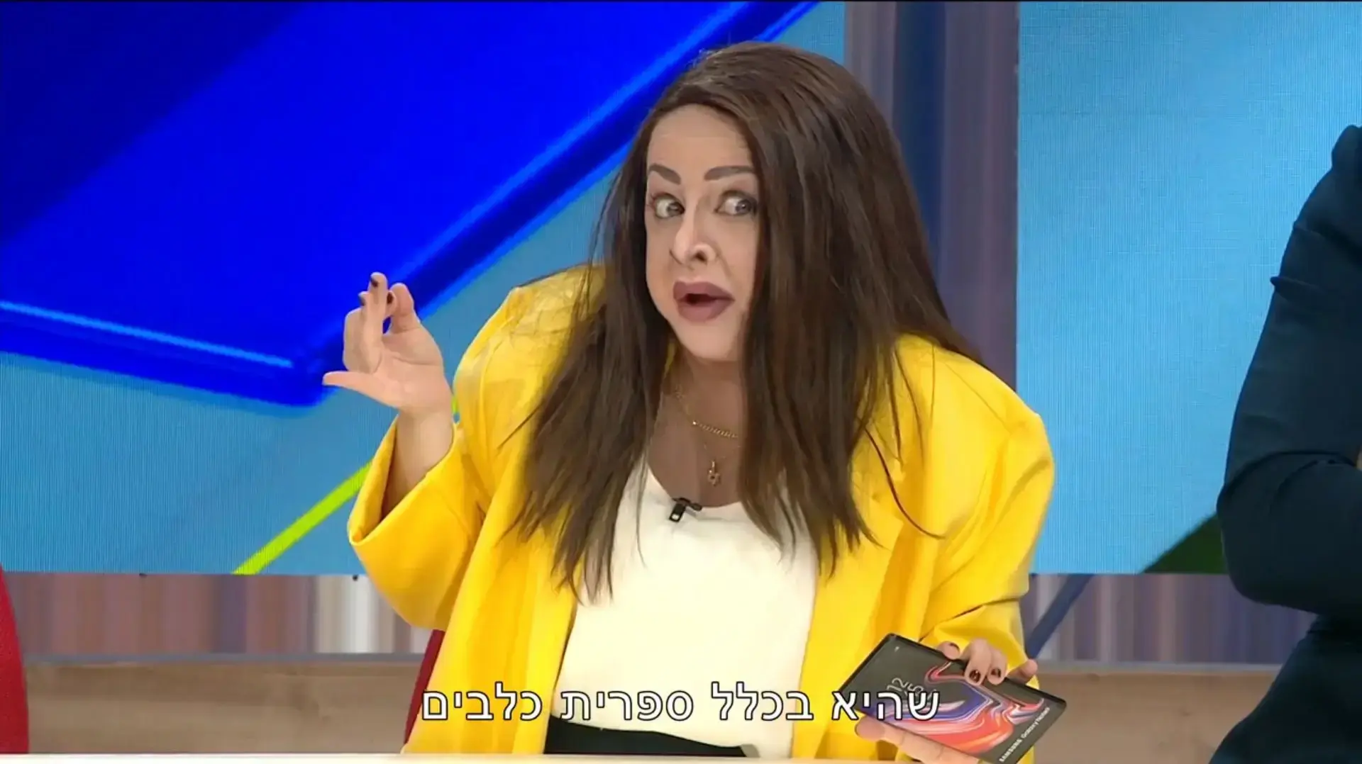גיה באר גורביץ' בתפקיד מאי גולן, "ארץ נהדרת"