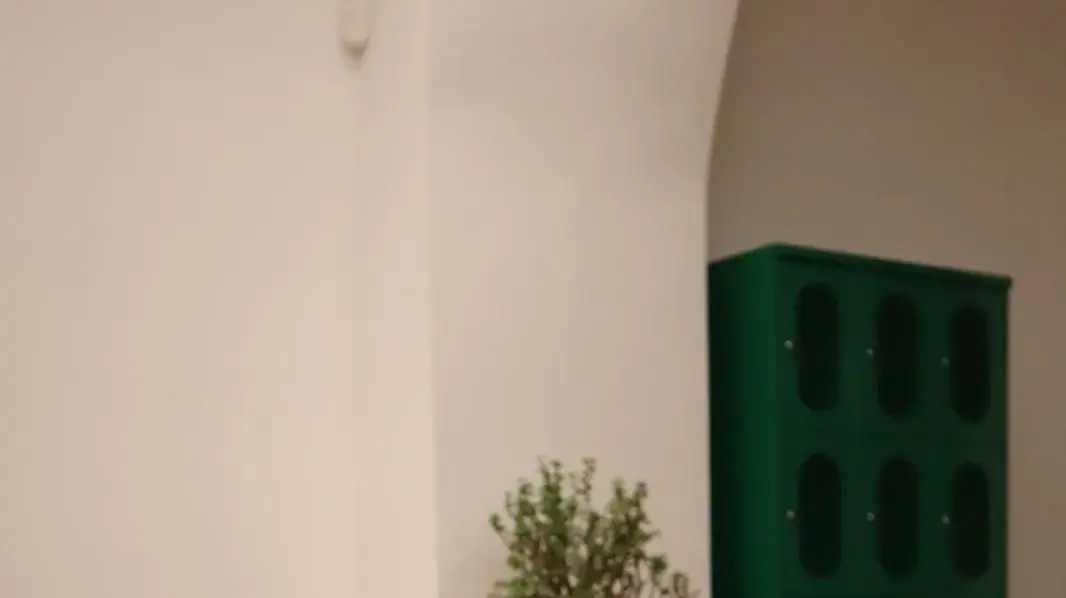 מכשירים תכליתיים ואיכותיים