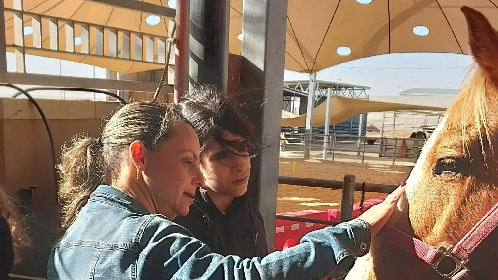 התוכנית במרכז "עדי נגב"
