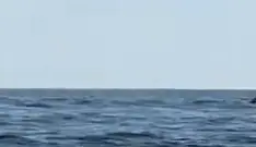 תיעד זוג עושה סקס על ג'ט סקי