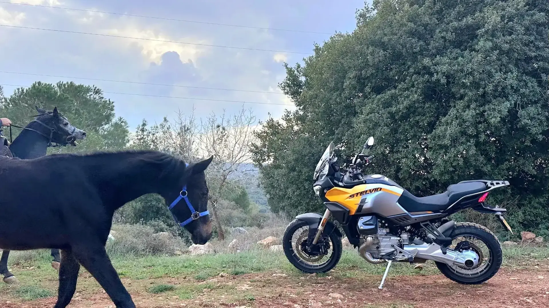 מוטוגוצי סטלביו 1000