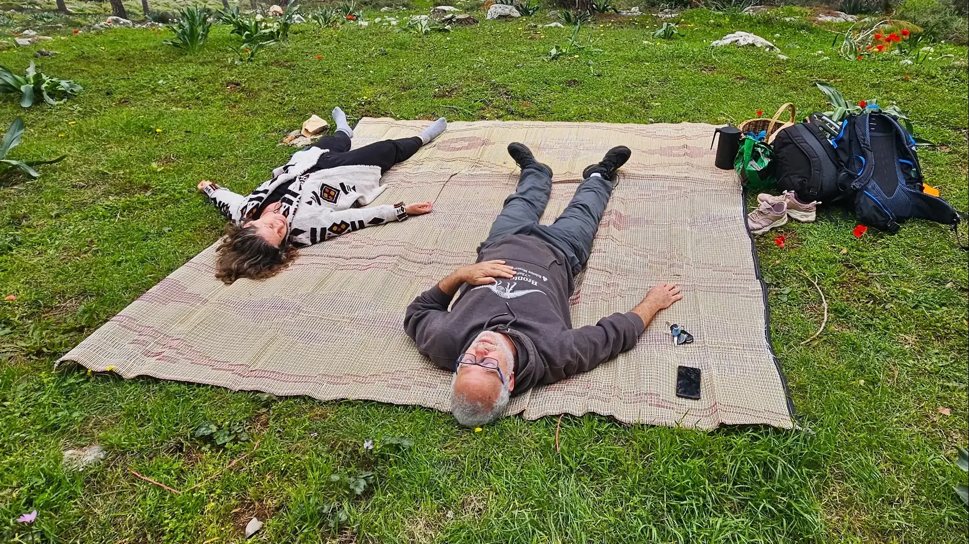 יער כפר החורש