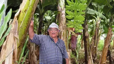 ד"ר יאיר ישראלי, בכיר חוקרי הבננה בישראל