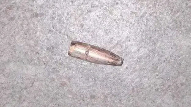 קליע שנמצא בשנה שעברה ביישוב כרמית